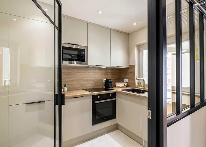 Beautiful Haussmannian Apartment - South Balcony